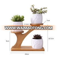 Wholesale home Desktop Zakka owl wooden frame fleshy succulent flower plant pot