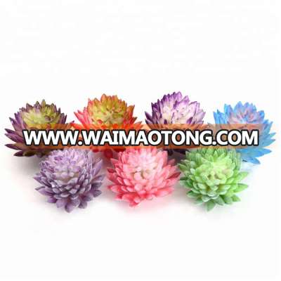 Factory wholesale succulent plants tropical plants succulent plants artificial