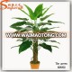 Factory Price High Quality Artificial Money Tree Plant Artificial Plant